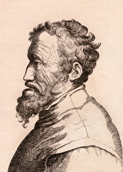 Michelangelo di Lodovico Buonarroti Simoni, Illustration aus 